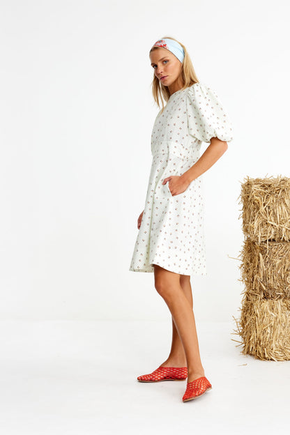 Binny - Galloway Dress Binny