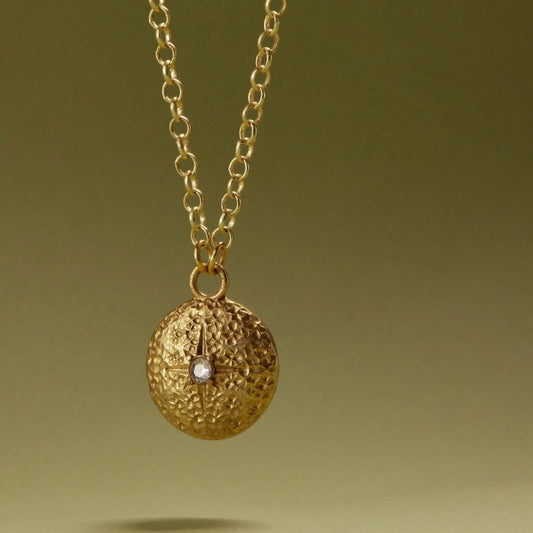 Tania Claire - Stella Medallion Necklace  | Gold